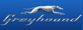 Greyhound.ca,ҹʿ;˾
