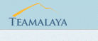Teamalaya