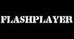 F&P(FlashPlayer)